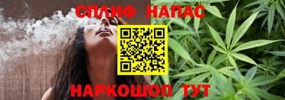 дурь Камышлов
