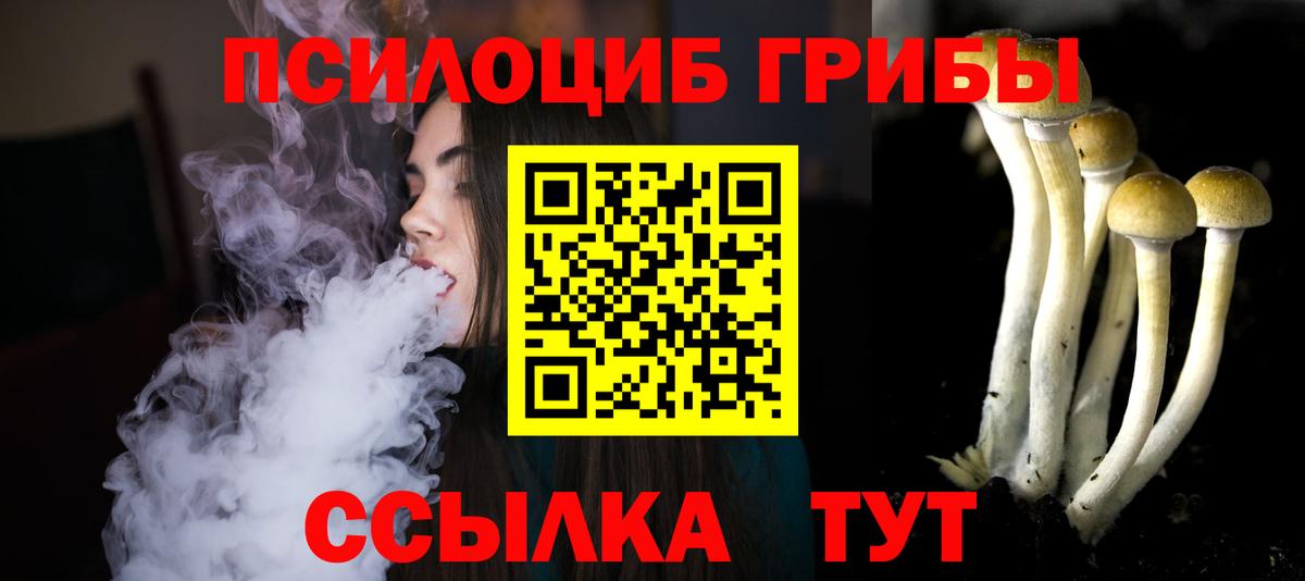 Лениногорск  Галлюциногенные грибы мицелий  Вход с VPN  как найти   Галлюциногенные грибы Psilocybe 